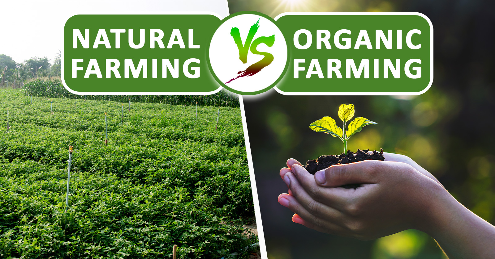 Natural Farming
